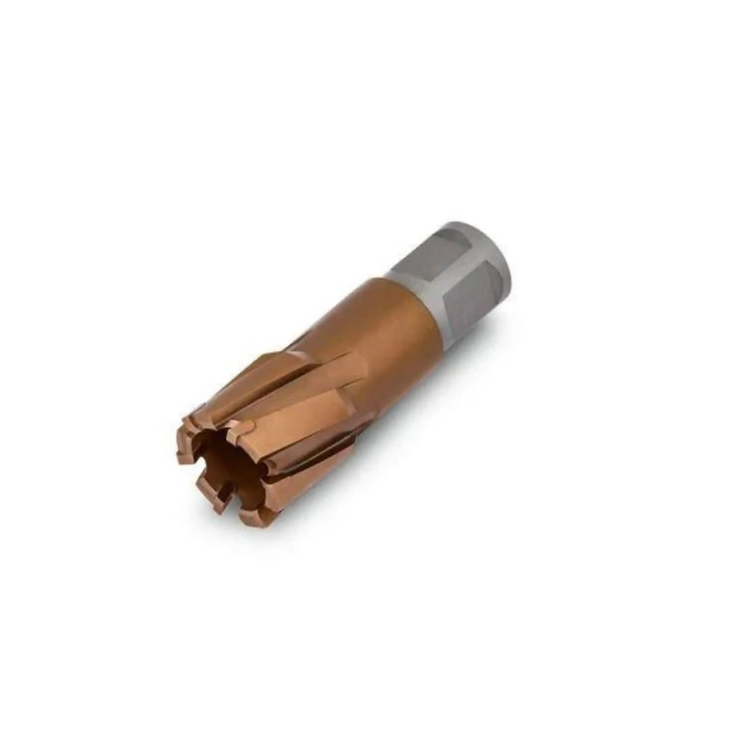Fein 63127839019 3/4 in. Straight Shank Carbide Annular Cutter, 1-5/16 in. Bore Dia.