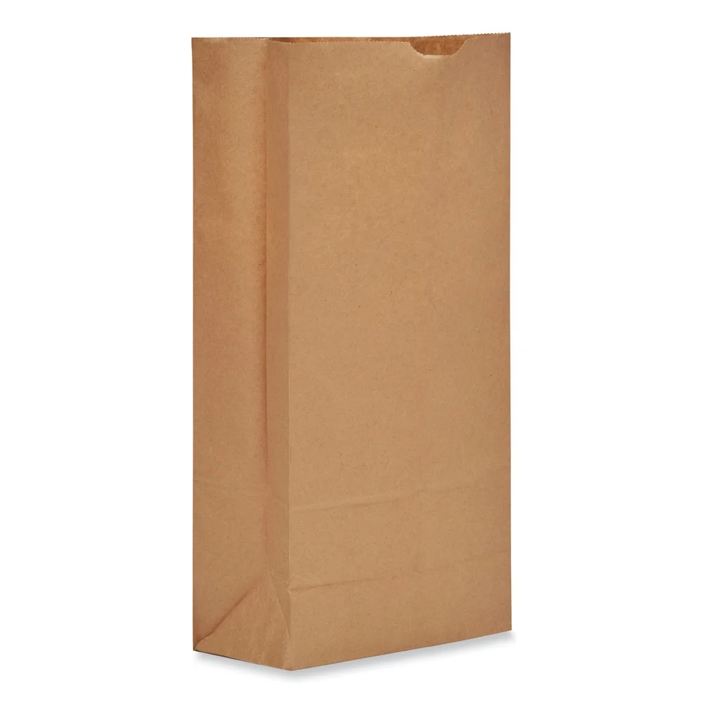 Ross & Wallace Paper Products 130325SP 8.25 in. x 5.38 in. x 18 in. #25 Heavy-Duty Grocery Paper Bags - Kraft (500/Bundle)