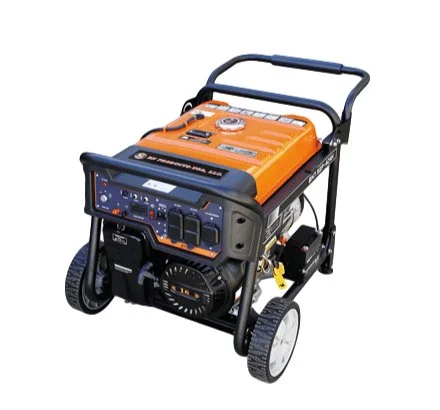BNG7500-D4 Gas Power Generator