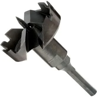 Bosch SF3001 3 In. Self-Feed Drill Bit