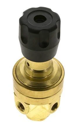 Pressure Regulator 1/4'' NPT 490 l/min 3.0-50.0bar/44-725psi Brass