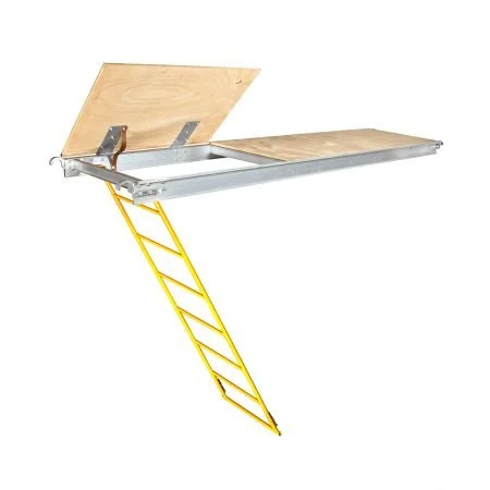 Platform With Trapdoor And Ladder