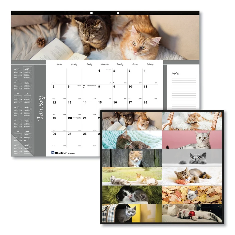 Blueline 12-Month (Jan-Dec): 2026 22 in. x 17 in. Furry Kittens Photography Pets Collection Monthly Desk Pad - White Sheets, Black Binding