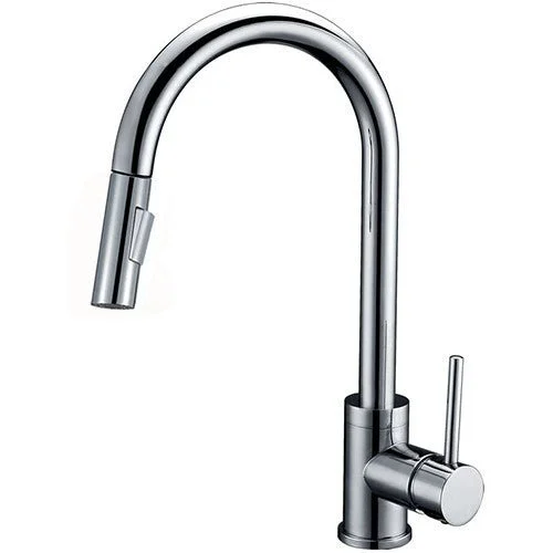 Signature 16 7/8 Inch Single Hole Pull-Down Kitchen Faucet