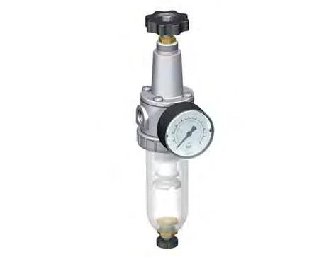 Filter-Regulator G1/4'' 900 l/min 0.5-10.0bar/7-145psi Semi-Auto Polycarbonate Standard 1
