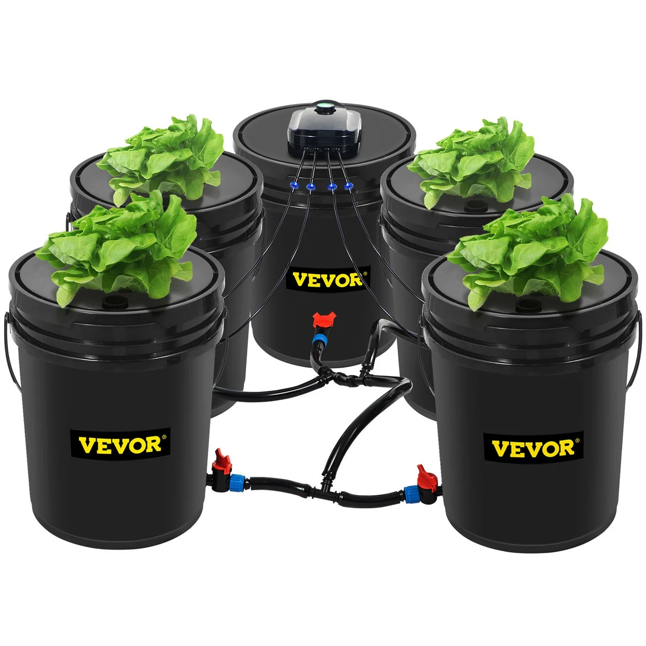 Hydroponics Deep Water Culture DWC Hydroponic System 5 Gallon 5 Buckets